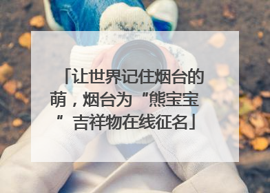 让世界记住烟台的萌，烟台为“熊宝宝”吉祥物在线征名